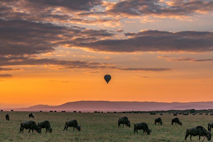 Tanzania y Zanzíbar